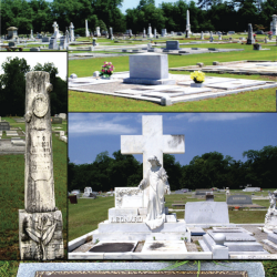 Cemeteries in Vienna